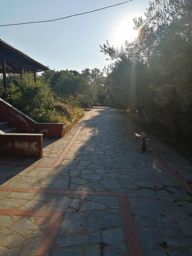 Xaroula Apartmán Ierissós
