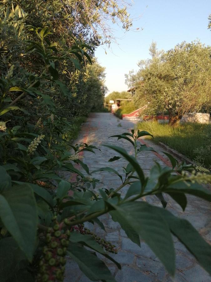 Apartmán Xaroula